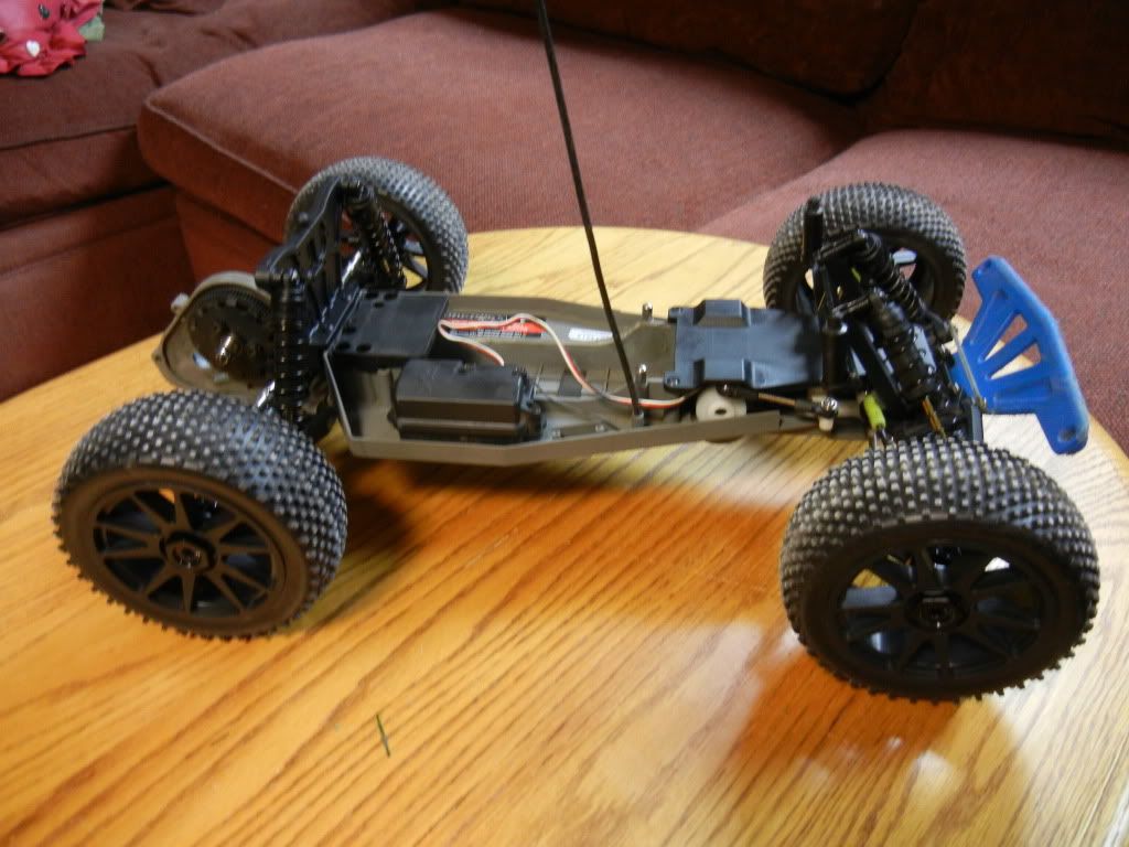 rustler buggy body